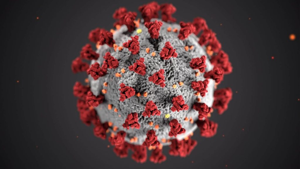 model vírusu covid-19
